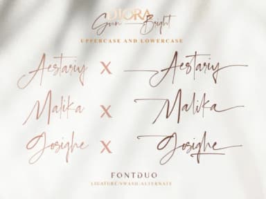 Diora Duo Font by Ratin Creative — Script Handwritten Font — thumbnail 3