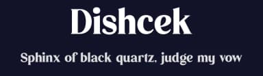 Dishcek by Storytype Studio — Serif Font — thumbnail 2