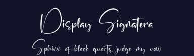 Display Signatera by Integritype Studio — Script Handwritten Font — thumbnail 2