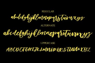 Diveil Script Font by alphArt — Script Handwritten Font — thumbnail 5