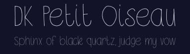 DK Petit Oiseau by Hanoded — Script Handwritten Font — thumbnail 2