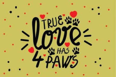 Dog Glitter Font by Lickable Pixels — Script Handwritten Font — thumbnail 2