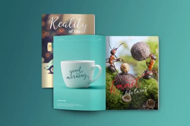 Dogma Script Font by Mrletters — Script Handwritten Font — thumbnail 3