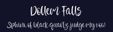 Dollem Falls by Vztype Studio — Script Handwritten Font — thumbnail 2