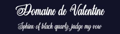 Domaine de Valentine by Octotype  | Thomas Boucherie — Script Handwritten Font — thumbnail 2