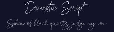 Domestic Script by Sizimon.id — Script Handwritten Font — thumbnail 2