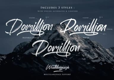 Domillion Font by ardyanatypes — Script Handwritten Font — thumbnail 7
