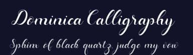 Dominica Calligraphy by Ahmad Riqi — Script Handwritten Font — thumbnail 2