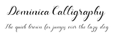 Dominica Calligraphy by Ahmad Riqi — Script Handwritten Font — thumbnail 1