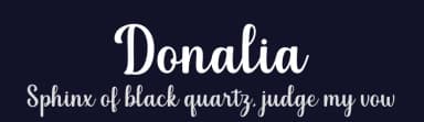 Donalia by Manjali Studio — Script Handwritten Font — thumbnail 2