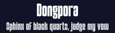 Dongpora by Ronny Studio — Sans Serif Font — thumbnail 2