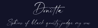 Donitta by Ef Studio — Script Handwritten Font — thumbnail 2