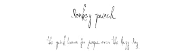 Donkey Punch by Xerographer Fonts — Script Handwritten Font — thumbnail 1