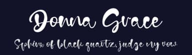 Donna Grace by Vztype Studio — Script Handwritten Font — thumbnail 2