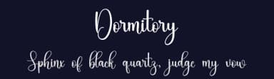 Dormitory by Inermedia Studio — Script Handwritten Font — thumbnail 2