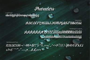 Downhill Font by 38.lineart — Script Handwritten Font — thumbnail 8