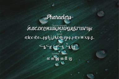 Downhill Font by 38.lineart — Script Handwritten Font — thumbnail 9