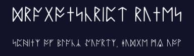 Dragonscript Runes by Rebecca Shusatck — Dingbats Font — thumbnail 2