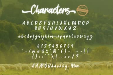 Dream Meadow Font by Khurasan — Script Handwritten Font — thumbnail 8