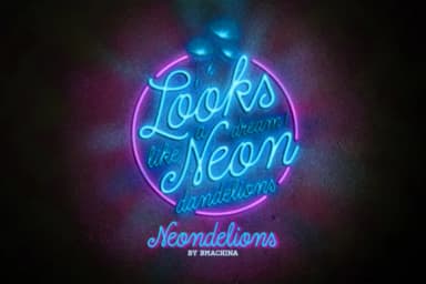 Dreamdelion Font by BMACHINA Laboratories — Script Handwritten Font — thumbnail 9