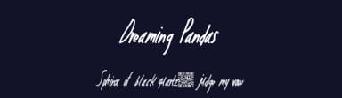 Dreaming Pandas by Xerographer Fonts — Script Handwritten Font — thumbnail 2