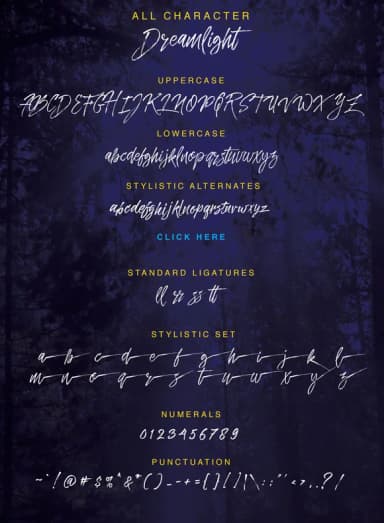 Dreamlight Font by QueenType — Script Handwritten Font — thumbnail 6