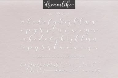 Dreamlike Script Font by it_was_a_good_day — Script Handwritten Font — thumbnail 4