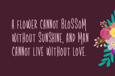 Dreamship Font by Shattered Notion — Script Handwritten Font — thumbnail 2