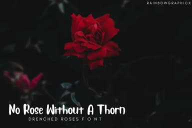 Drenched Roses Font by RainbowGraphicx — Script Handwritten Font — thumbnail 3