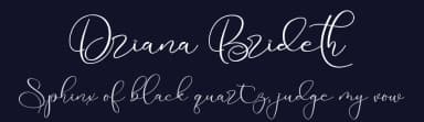 Driana Brideth by Abraham Type (AldeDesign Studio) — Script Handwritten Font — thumbnail 2