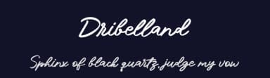 Dribelland by Beautypes — Script Handwritten Font — thumbnail 2