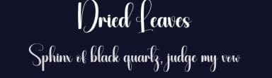 Dried Leaves by Andi Moz — Script Handwritten Font — thumbnail 2