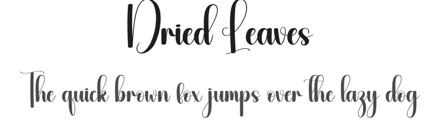 Dried Leaves by Andi Moz — Script Handwritten Font