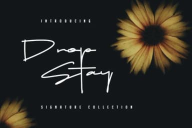 Drop Stay Font by Dierstudio — Script Handwritten Font — thumbnail 1