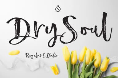 Dry Soul Font by JROH Creative — Script Handwritten Font — thumbnail 1