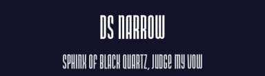 DS Narrow by Design Studio — Sans Serif Font — thumbnail 2