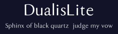 DualisLite by Stephan Stoffels — Sans Serif Font — thumbnail 2