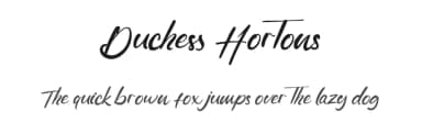 Duchess Hortons by Kong Font — Script Handwritten Font — thumbnail 1
