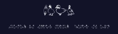 Duck by Vladimir Nikolic — Dingbats Font — thumbnail 2