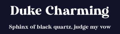 Duke Charming by Letterhend Studio — Serif Font — thumbnail 2