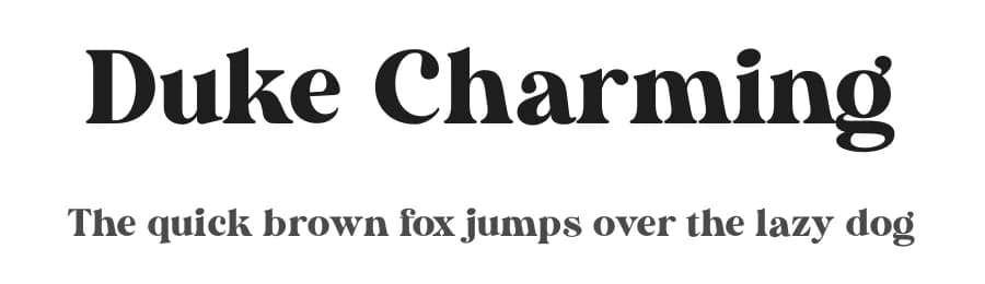 Duke Charming by Letterhend Studio — Serif Font