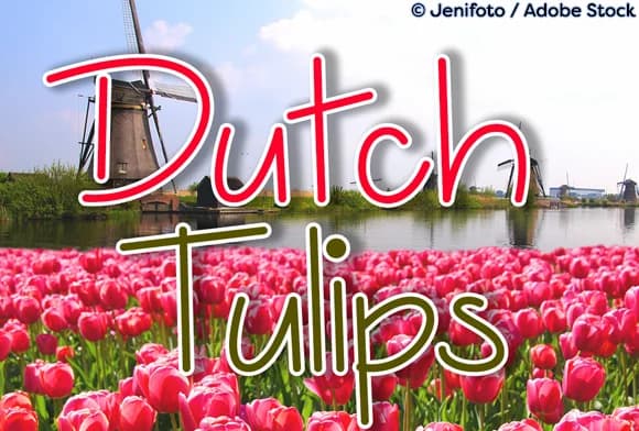Dutch Tulips Font by Misti — Script Handwritten Font