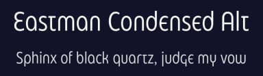 Eastman Condensed Alt by Zetafonts — Sans Serif Font — thumbnail 2
