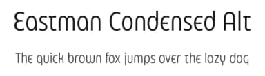Eastman Condensed Alt by Zetafonts — Sans Serif Font — thumbnail 1
