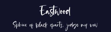 Eastwood by Balpirick Studio — Script Handwritten Font — thumbnail 2