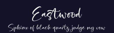 Eastwood by Letterena Studios — Script Handwritten Font — thumbnail 2