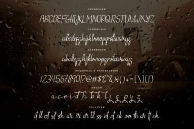 Ebnantti Script Font by relationscript12 — Script Handwritten Font — thumbnail 5