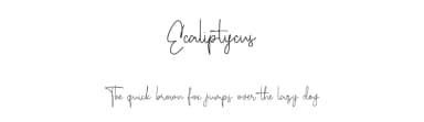 Ecaliptycus by Maulana Creative — Script Handwritten Font — thumbnail 1