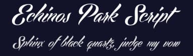 Echinos Park Script by Måns Grebäck — Script Handwritten Font — thumbnail 2