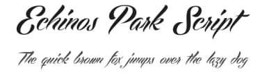 Echinos Park Script by Måns Grebäck — Script Handwritten Font — thumbnail 1